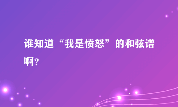 谁知道“我是愤怒”的和弦谱啊？