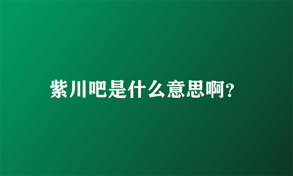 紫川吧是什么意思啊？