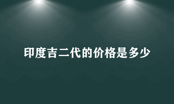 印度吉二代的价格是多少