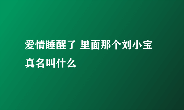 爱情睡醒了 里面那个刘小宝真名叫什么