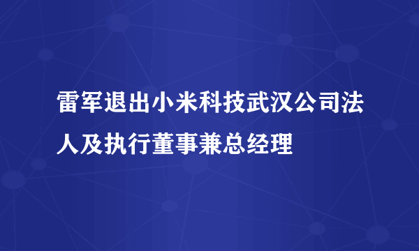 雷军退出小米科技武汉公司法人及执行董事兼总经理