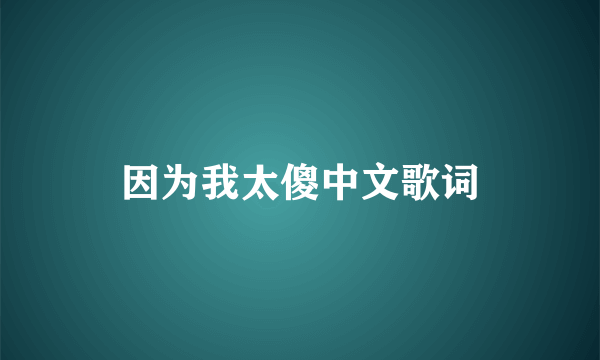 因为我太傻中文歌词