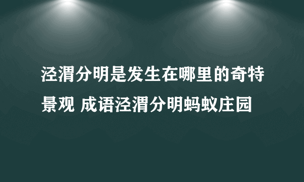 泾渭分明是发生在哪里的奇特景观 成语泾渭分明蚂蚁庄园