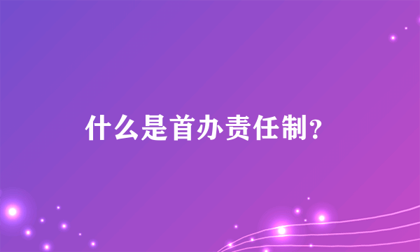 什么是首办责任制？