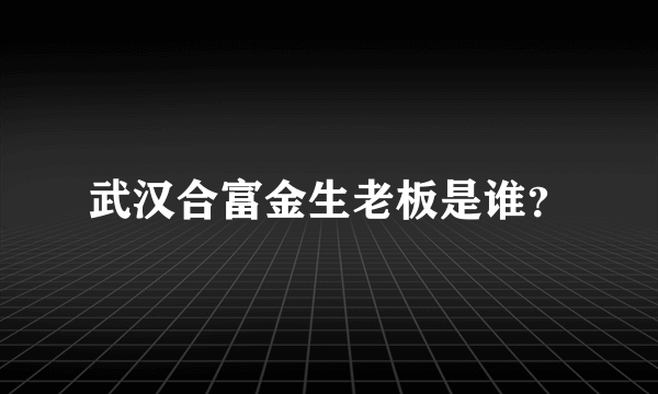 武汉合富金生老板是谁？