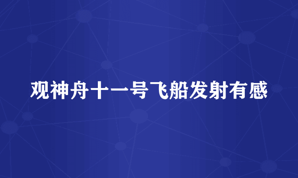 观神舟十一号飞船发射有感