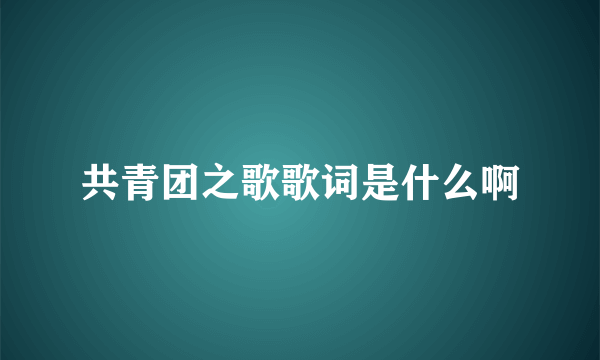 共青团之歌歌词是什么啊