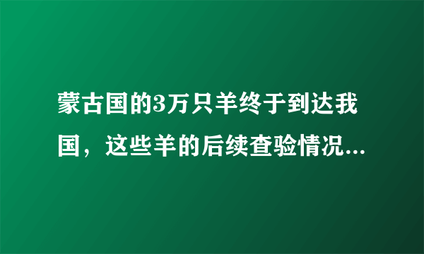 蒙古国的3万只羊终于到达我国，这些羊的后续查验情况怎么样了？