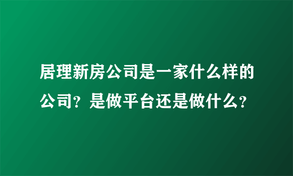 居理新房公司是一家什么样的公司？是做平台还是做什么？