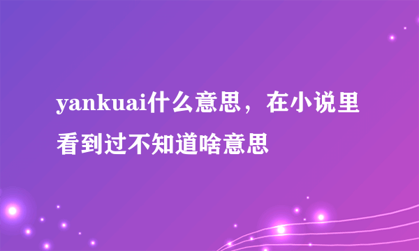 yankuai什么意思，在小说里看到过不知道啥意思