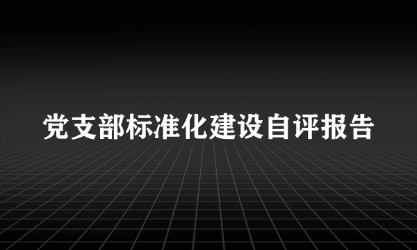 党支部标准化建设自评报告