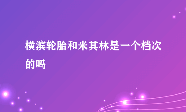 横滨轮胎和米其林是一个档次的吗