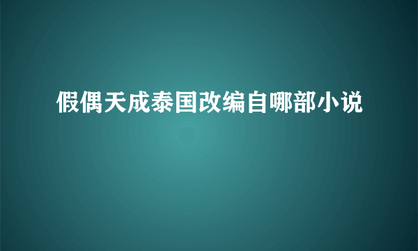 假偶天成泰国改编自哪部小说