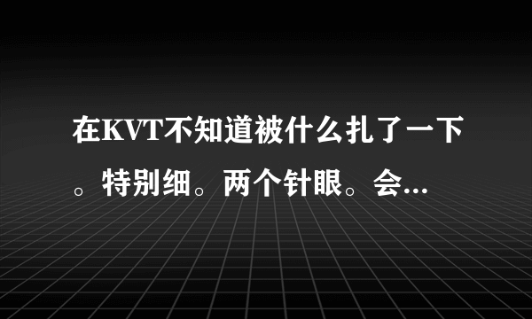 在KVT不知道被什么扎了一下。特别细。两个针眼。会被传...