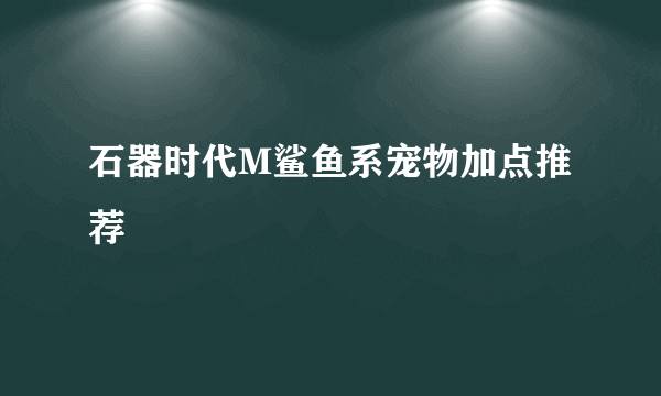 石器时代M鲨鱼系宠物加点推荐