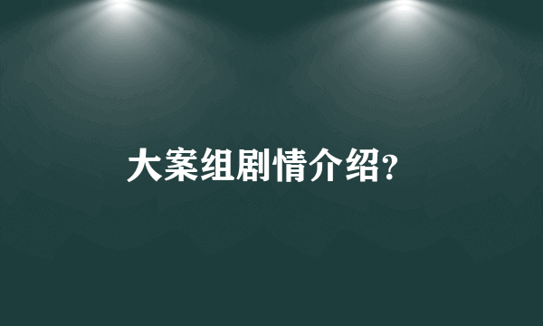 大案组剧情介绍？