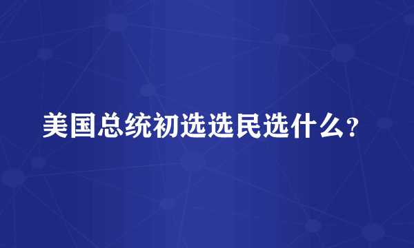 美国总统初选选民选什么？