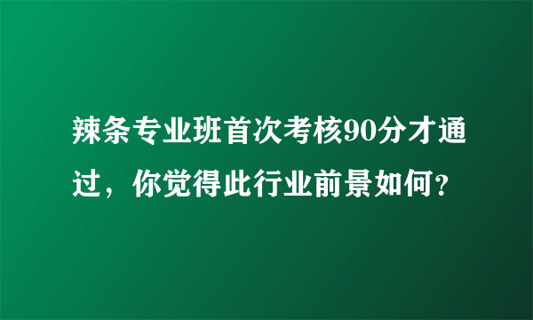 辣条专业班首次考核90分才通过，你觉得此行业前景如何？