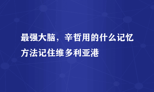 最强大脑，辛哲用的什么记忆方法记住维多利亚港