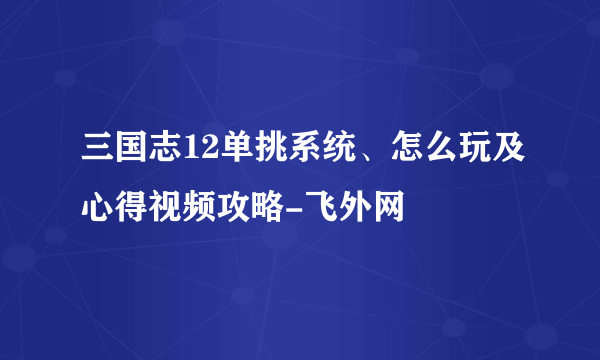 三国志12单挑系统、怎么玩及心得视频攻略-飞外网