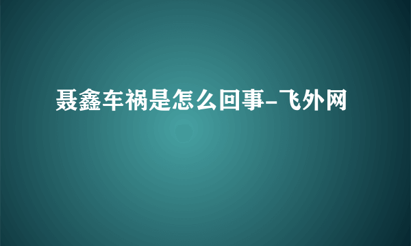 聂鑫车祸是怎么回事-飞外网