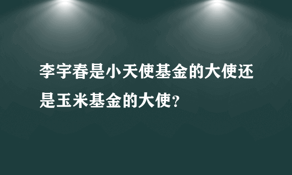 李宇春是小天使基金的大使还是玉米基金的大使？