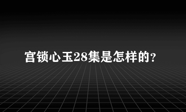 宫锁心玉28集是怎样的？