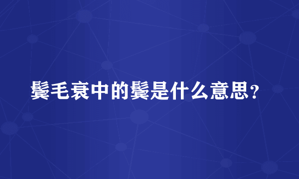 鬓毛衰中的鬓是什么意思？