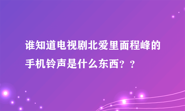 谁知道电视剧北爱里面程峰的手机铃声是什么东西？？