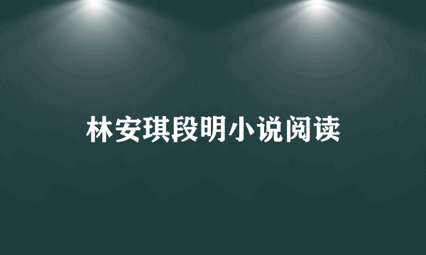 林安琪段明小说阅读