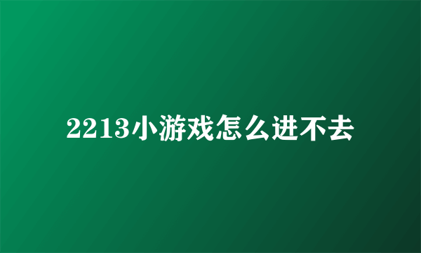 2213小游戏怎么进不去