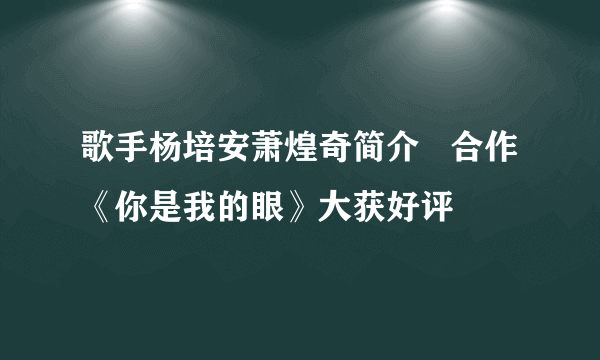 歌手杨培安萧煌奇简介   合作《你是我的眼》大获好评