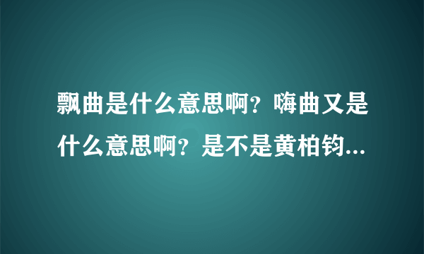 飘曲是什么意思啊？嗨曲又是什么意思啊？是不是黄柏钧dy说的土嗨的意思啊？