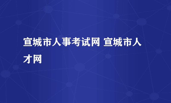 宣城市人事考试网 宣城市人才网