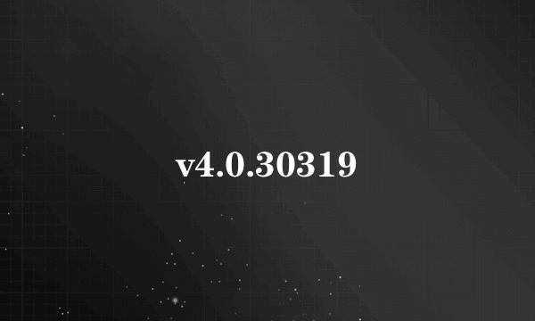 v4.0.30319