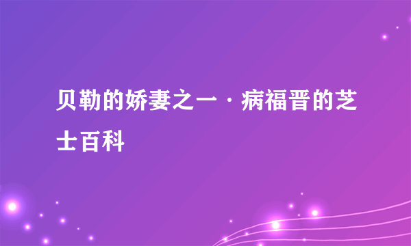 贝勒的娇妻之一·病福晋的芝士百科