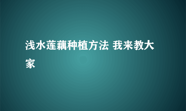 浅水莲藕种植方法 我来教大家