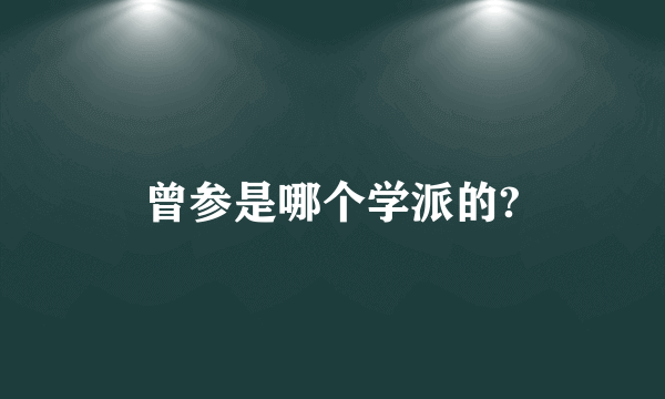 曾参是哪个学派的?