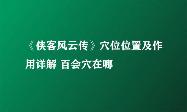 《侠客风云传》穴位位置及作用详解 百会穴在哪