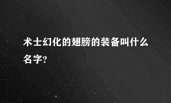 术士幻化的翅膀的装备叫什么名字？