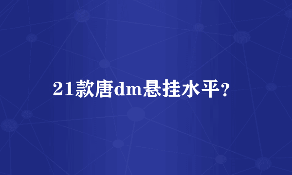 21款唐dm悬挂水平？