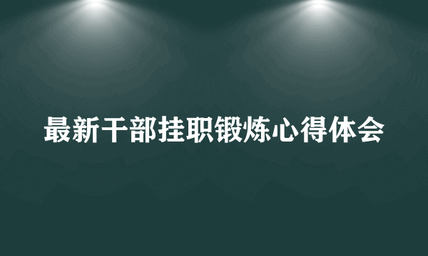 最新干部挂职锻炼心得体会