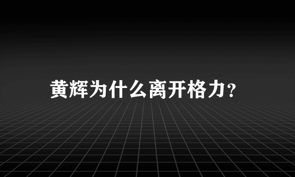 黄辉为什么离开格力？