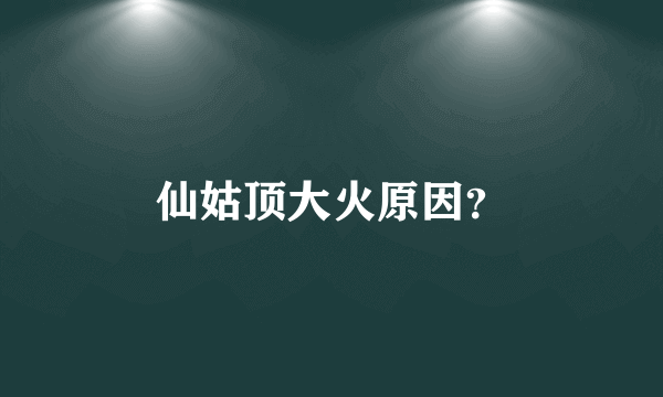 仙姑顶大火原因？