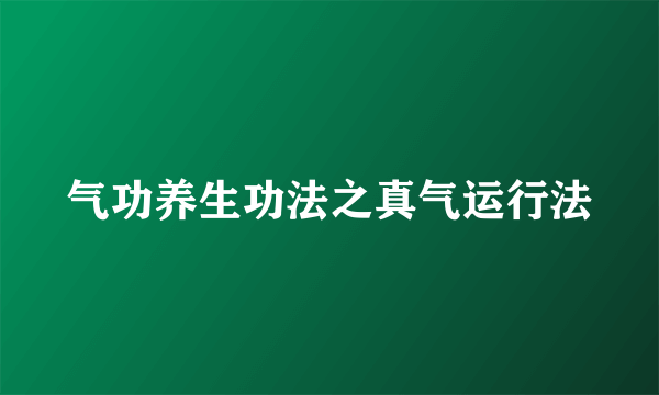 气功养生功法之真气运行法