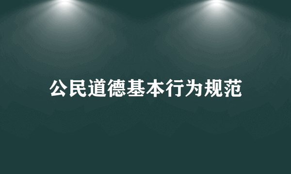 公民道德基本行为规范