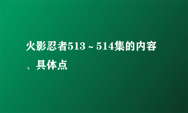 火影忍者513～514集的内容、具体点