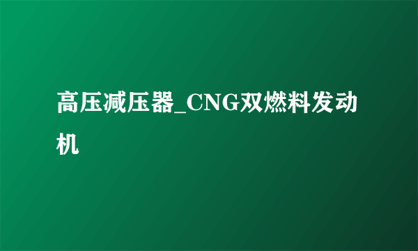 高压减压器_CNG双燃料发动机