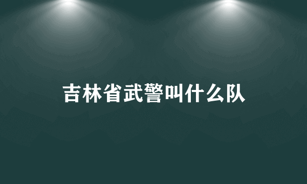 吉林省武警叫什么队