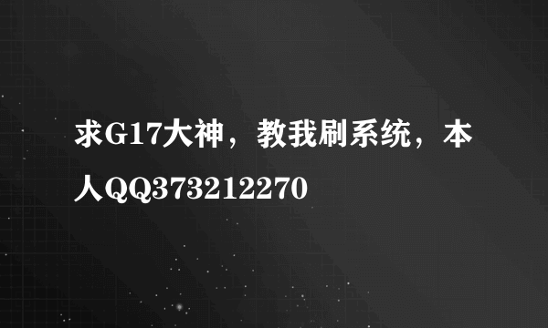 求G17大神，教我刷系统，本人QQ373212270